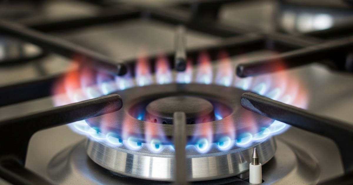 En agosto, pagar luz y gas sin subsidio en el AMBA costó más del doble que con bonificación