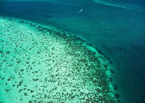 San Pedro, la llave del Caribe beliceño para combinar descanso en la playa y excursiones al arrecife