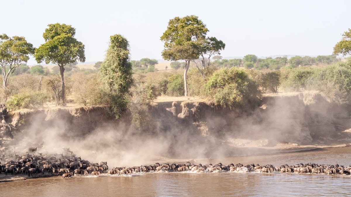 Tres parques, dos comunidades y un lago con barro: crónica del norte de Tanzania