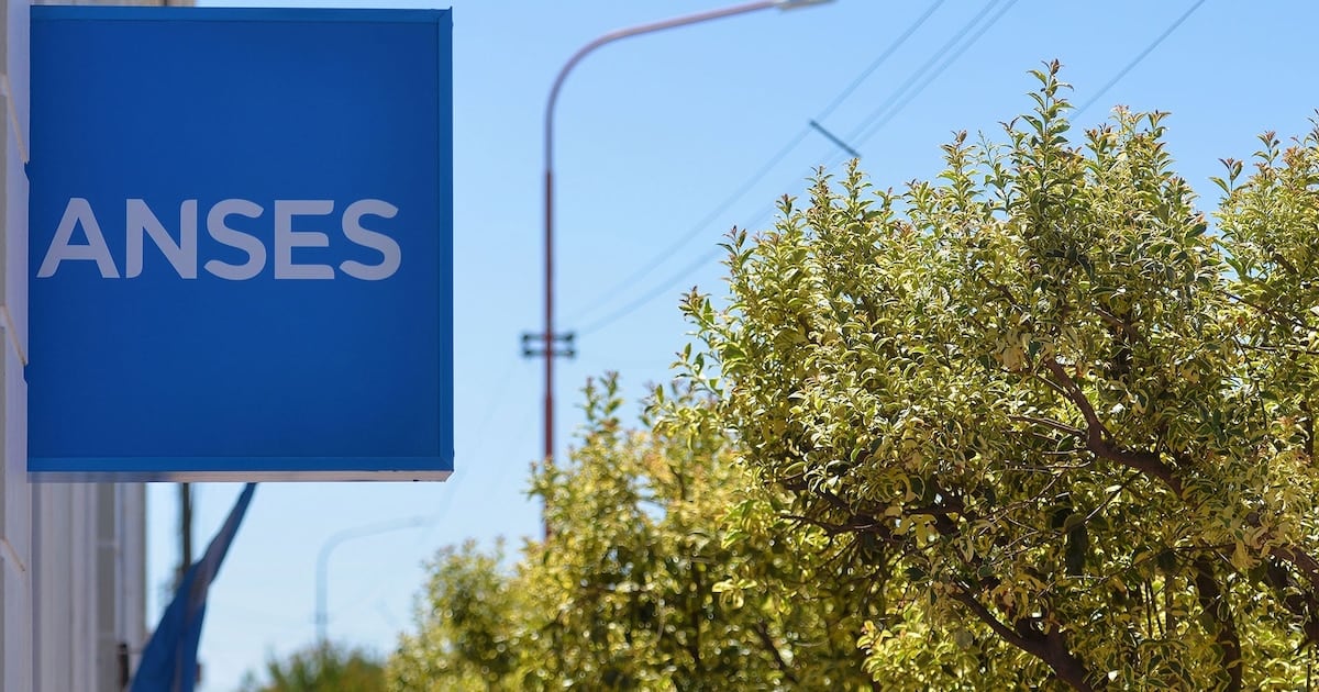 Calendario de pagos de ANSES para DNI terminado en 2: cuánto cobran y cuándo se acredita cada prestación en octubre
