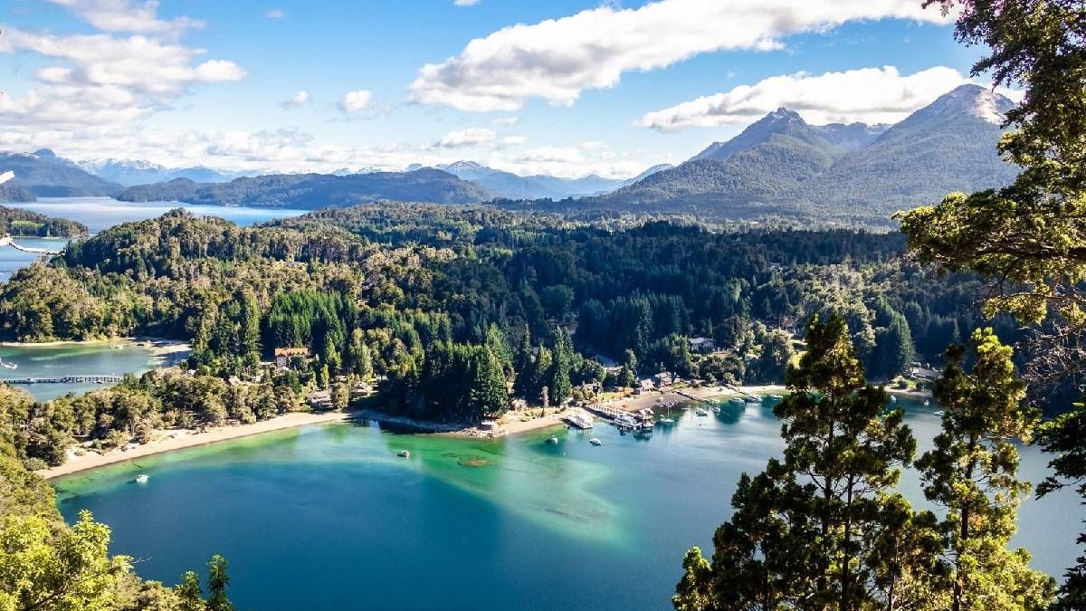 Un trueque en la cordillera: dormir en Villa La Angostura a cambio de trabajar en el bosque
