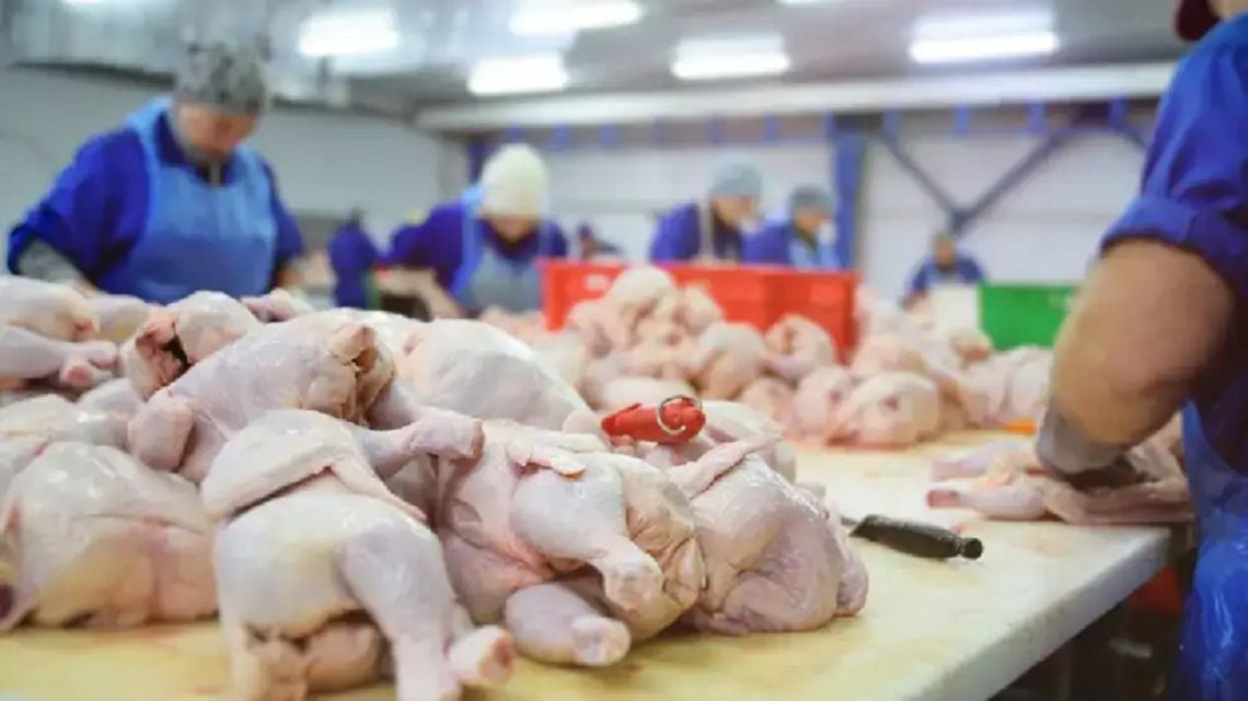 Por primera vez, el kilo de pollo le ganó la pulseada a la carne vacuna en la mesa de los argentinos