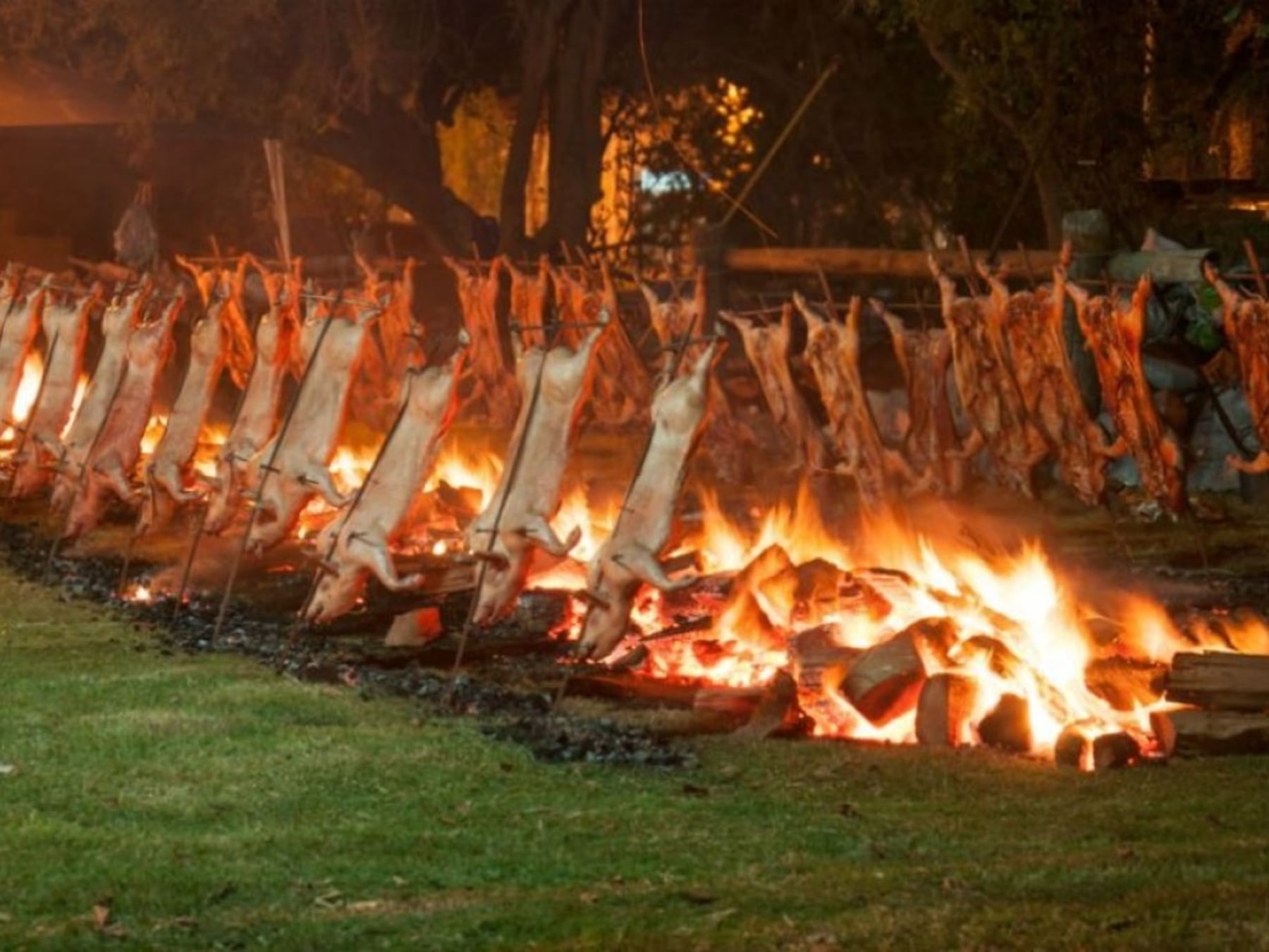 Seis propuestas para recorrer la provincia de Buenos Aires durante el feriado largo de octubre