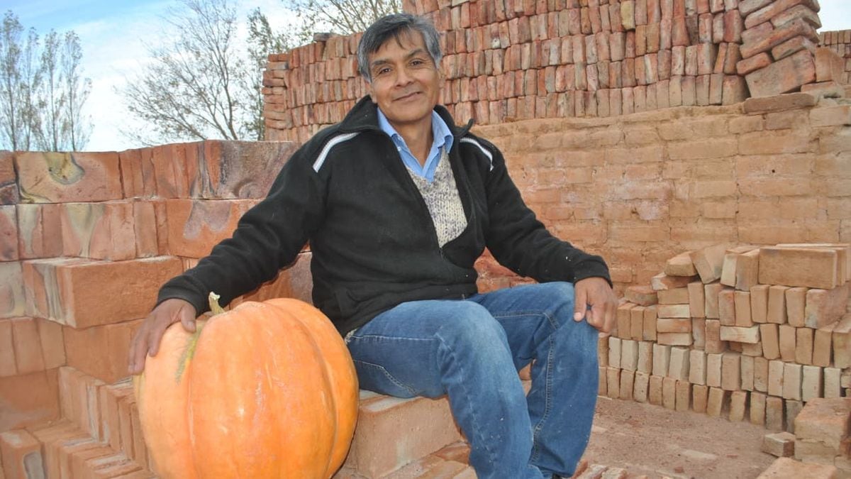 Vuelve el concurso del zapallo gigante a Mariano Moreno y reparte semillas gratis para quien quiera animarse