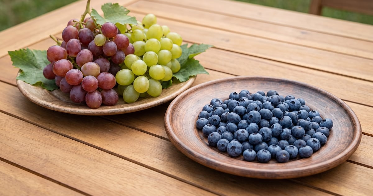 Arándanos o uvas: la pulseada cotidiana que se gana en la mesa familiar, no en la góndola