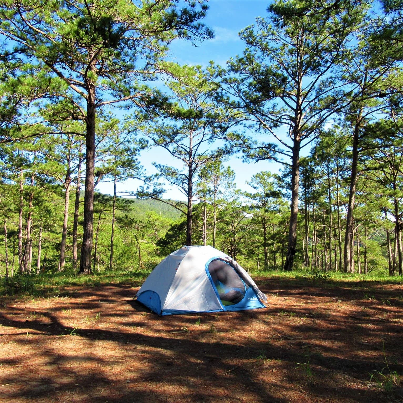 Huttopia desembarca en la costa atlántica con su primer camping en suelo latinoamericano
